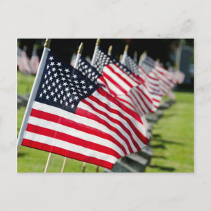 Historic military cemetery with US flags Postcard