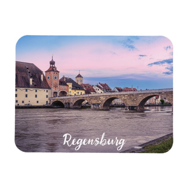 Historic old town in Regensburg, Germany Magnet (Horizontal)