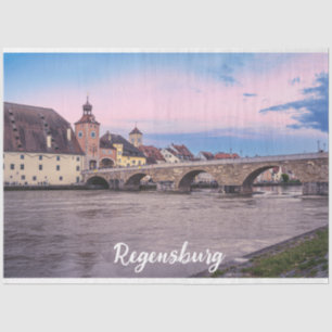 Historic old town in Regensburg, Germany Tissue Paper