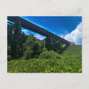 Historic Railroad Bridge Over the Alcovy River Postcard