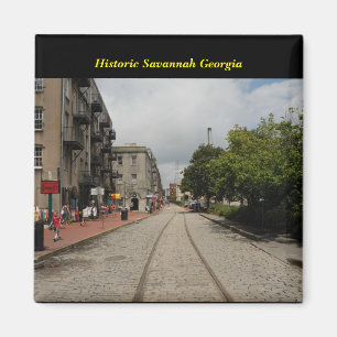 Historic Savannah Georgia Magnet
