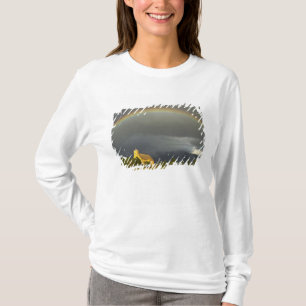 Historic St Ignatius Mission in St Ignatius, 2 T-Shirt