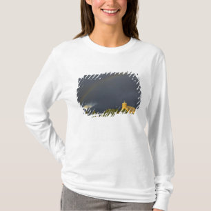 Historic St Ignatius Mission in St Ignatius, T-Shirt