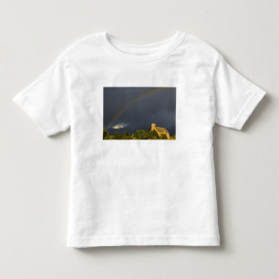 Historic St Ignatius Mission in St Ignatius, Toddler T-Shirt
