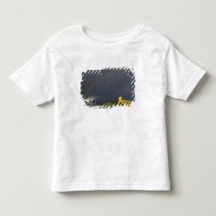 Historic St Ignatius Mission in St Ignatius, Toddler T-Shirt