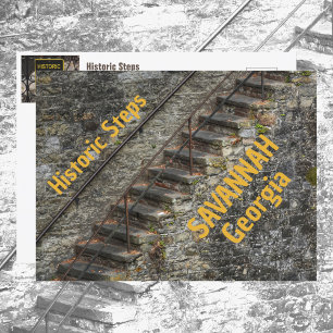 Historic Steps of Savannah Georgia Photographic Postcard