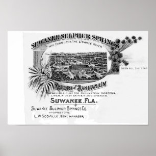 Historic Suwannee Springs, Florida suwannee river, Poster
