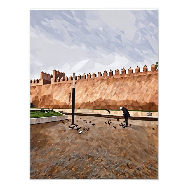 Historical City Wall with Person Feeding Pigeon Photo Print (Front)
