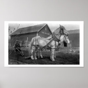 Historical Maple Row Farm photograph Poster