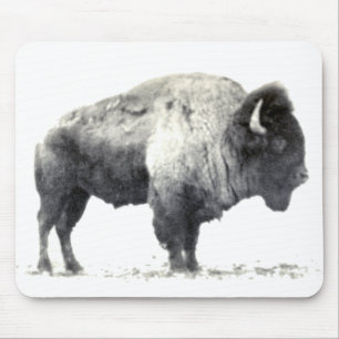 Historical Photograph of American Bison Mouse Pad