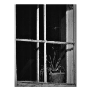 "History Absorbed" Photo Print