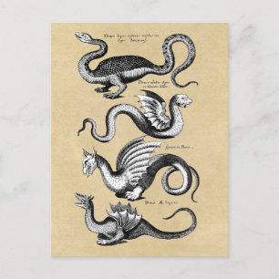 History of Dragons Sepia Postcard