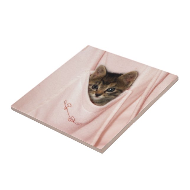 Hitchhiking Tile (Side)