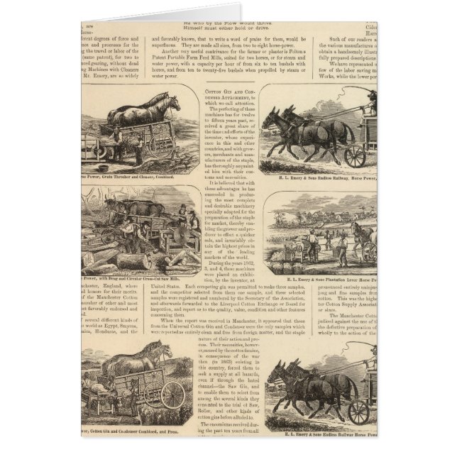 HL Emory and Sons (Front)