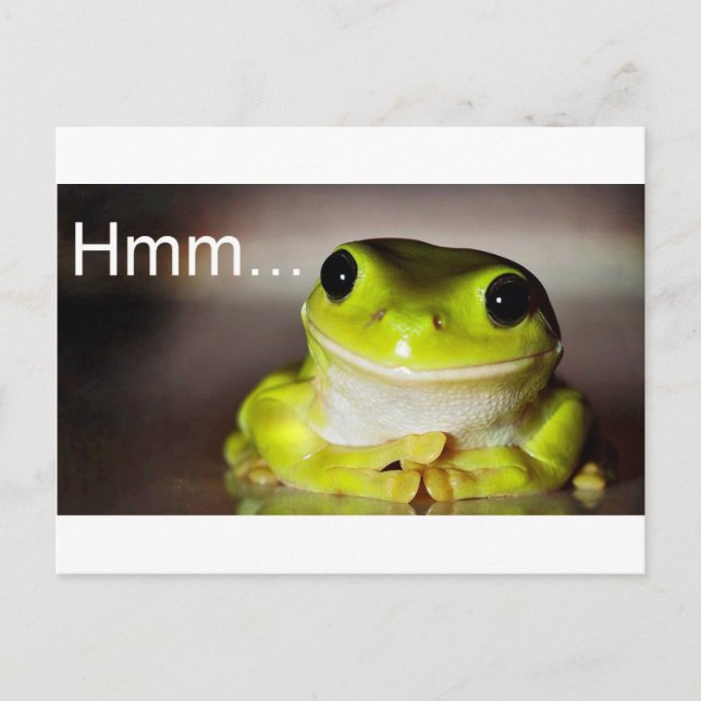 Hmm Frog Postcard (Front)