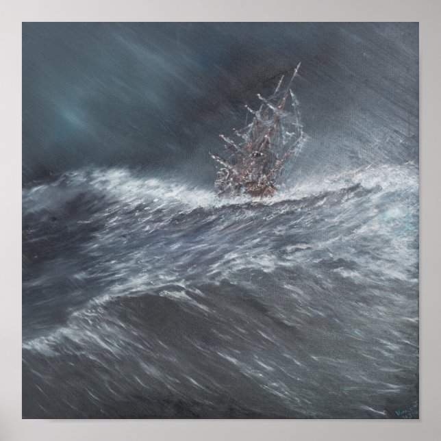 HMS Beagle in a storm off Cape Horn Poster (Front)