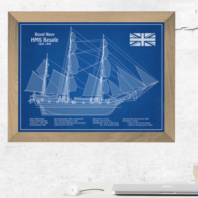 HMS Beagle Tall Ship - Ship Blueprint ABD Photo Print (Creator Uploaded)