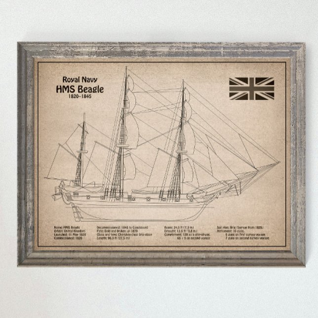 HMS Beagle Tall Ship - Ship Blueprint SD Poster (Creator Uploaded)