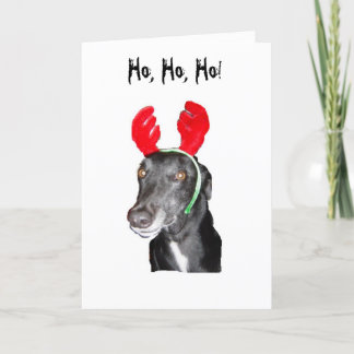 Ho Ho Ho! Antlers Holiday Card