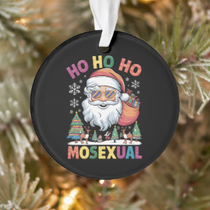 Ho Ho Homosexual Christmas Santa Holiday Gay Pride Ornament