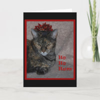 Ho Ho Hum Cat