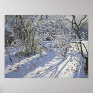 Hoar frost Markeaton Derby.UK.2012 Poster