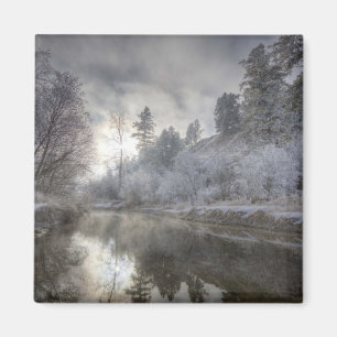 Hoarfrost along a slough at the Kelly Island Magnet