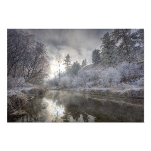 Hoarfrost along a slough at the Kelly Island Photo Print
