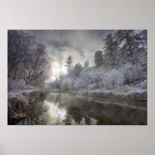 Hoarfrost along a slough at the Kelly Island Poster