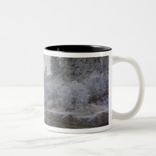 Hoarfrost along a slough at the Kelly Island Two-Tone Coffee Mug