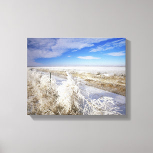 Hoarfrost coats tumbleweed and fenceline near canvas print