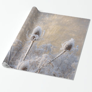 Hoarfrost Teasels Winter Photo Scenic Nature Gift Wrapping Paper
