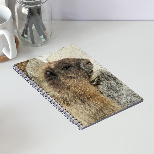 Hoary Marmot Wildlife Photo Notebook (In Situ)