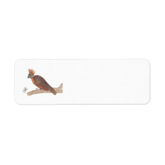 HOATZIN