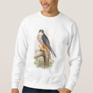 Hobby Falcon John Gould Birds of Great Britain Sweatshirt