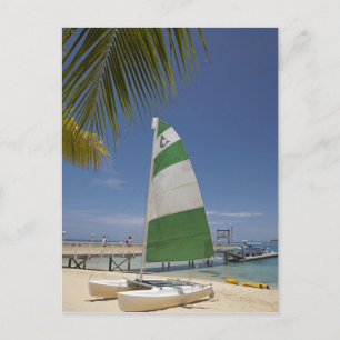 Hobie Cat, Plantation Island Resort Postcard