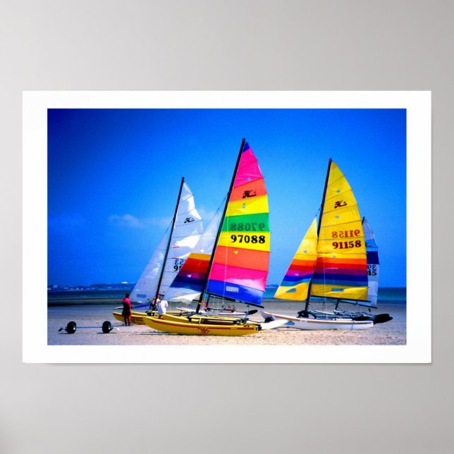 HOBIE CATS IN JERSEY POSTER (Front)