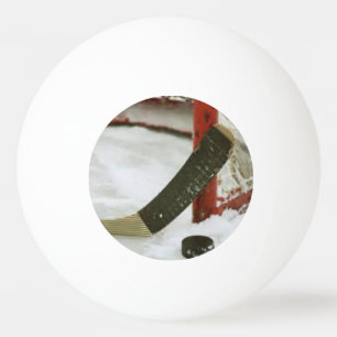 hockey net goal ping pong ball