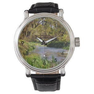 Hodgson Spring Flow Watch