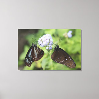 Hodokubo, Hino, Tokyo, Japan 4 Canvas Print