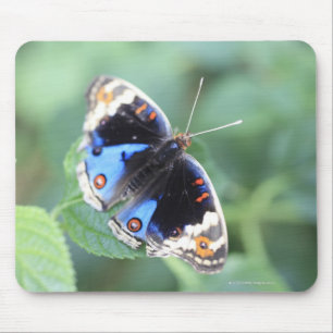 Hodokubo, Hino, Tokyo, Japan 4 Mouse Pad