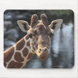 Hodokubo, Hino, Tokyo, Japan 6 Mouse Pad