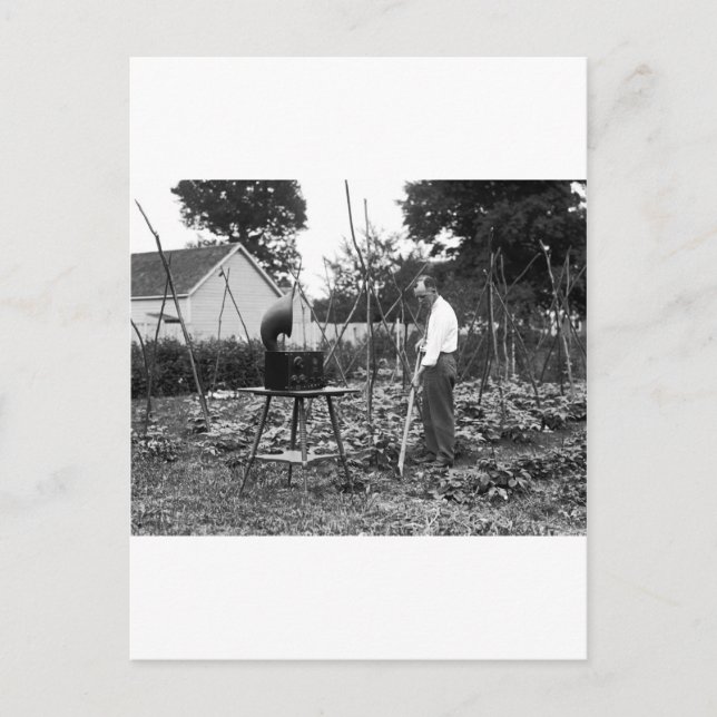 Hoe Down: 1926 Postcard (Front)