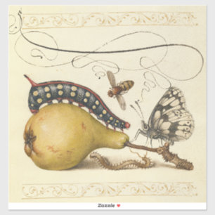 Hoefnagel Vintage Pear & Insects 1500s Renaissance
