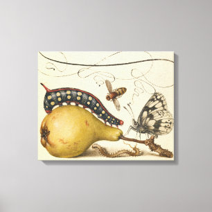 Hoefnagel Vintage Pear & Insects 1500s Renaissance Canvas Print