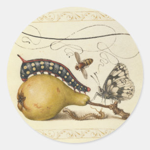 Hoefnagel Vintage Pear & Insects 1500s Renaissance Classic Round Sticker
