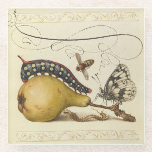 Hoefnagel Vintage Pear & Insects 1500s Renaissance Glass Coaster