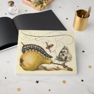 Hoefnagel Vintage Pear & Insects 1500s Renaissance Guest Book
