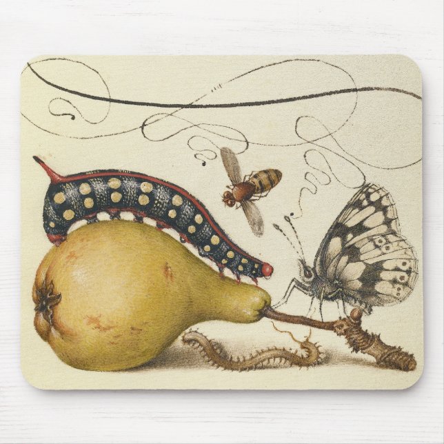 Hoefnagel Vintage Pear & Insects 1500s Renaissance Mouse Pad (Front)