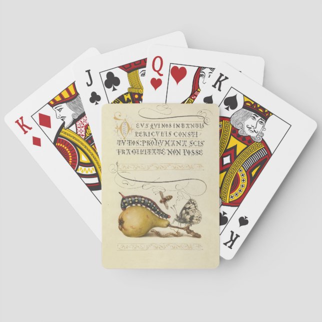 Hoefnagel Vintage Pear & Insects 1500s Renaissance Playing Cards (Back)